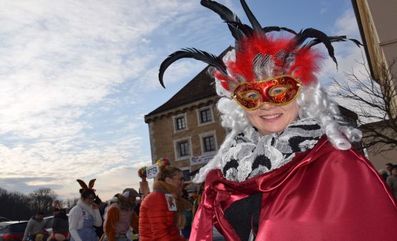 Mau Mau - Mauthausener Faschingsumzug