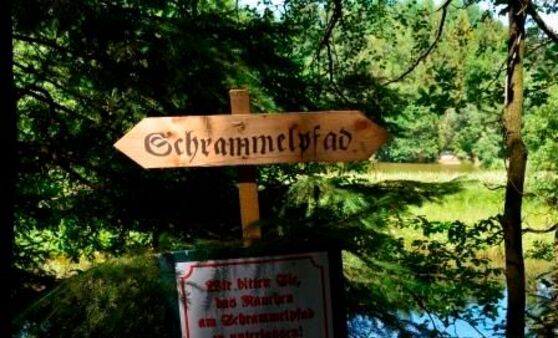 10. Schrammel.Klang.Festival in Litschau