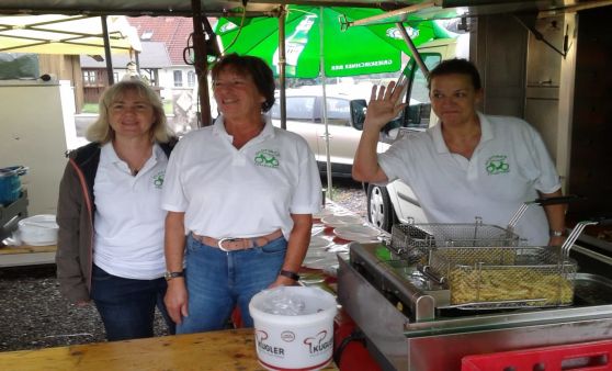 Museumseröffnung Tollet 2018 - wir von den Oldtimerfreunden Kallham sind dabei!