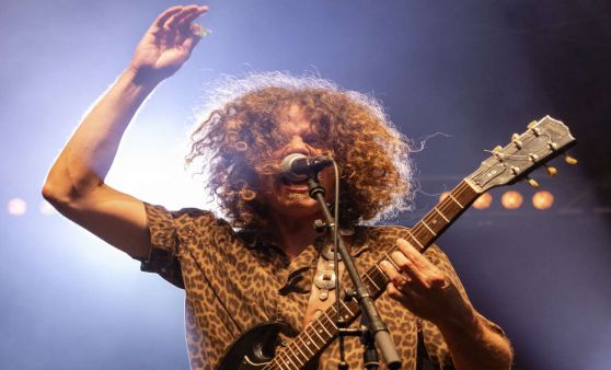 WOLFMOTHER at Posthof, Support: The Picturebooks