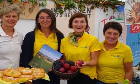 Regionale Entdeckungsreise bei Waizenkirchner Gewerbeschau