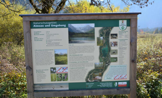 Goldener Herbst am Almsee