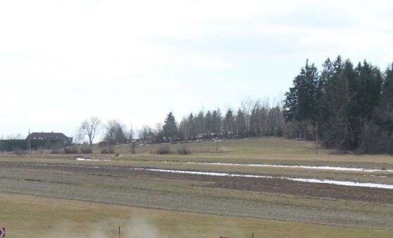 Schneerosenrallye 2015