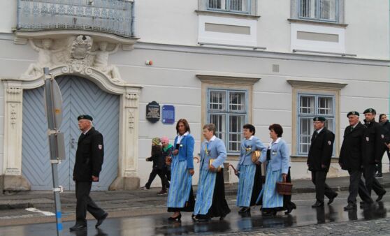 13. traditionelles Maibaumaufstellen in Waidhofen