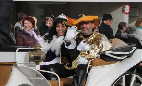 Waidhofner Faschingsumzug 2017