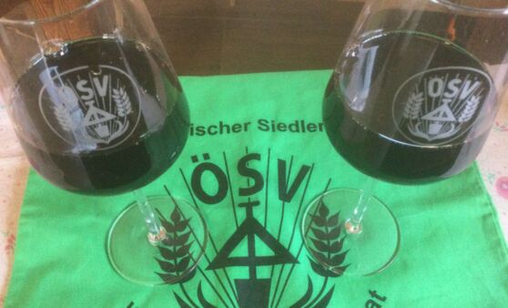 Sturm— und Weinfest Siedlerverein St. Marien