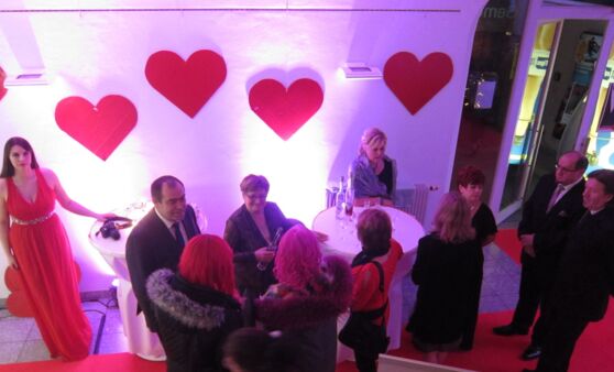 Der Herzerlball 2017 in Bildern