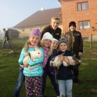 Bildergalerie Schule am Bauernhof in Garsten