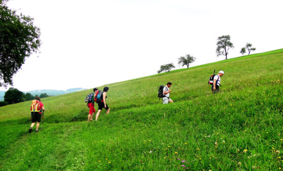 von See zu See - Naturparkdurchquerung