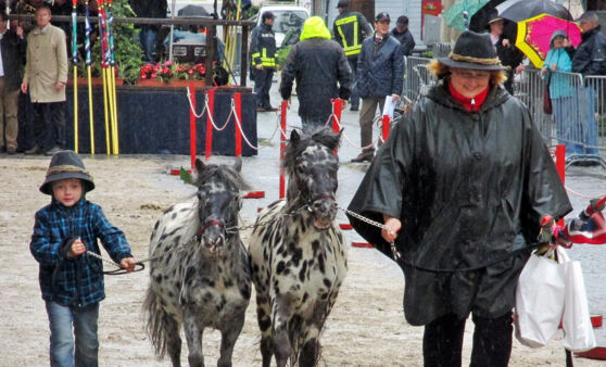 111. Pferdemarkt in Vöcklabruck
