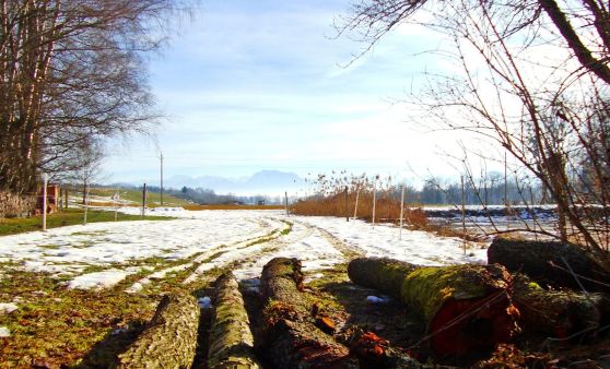 Besuch vom Frühling