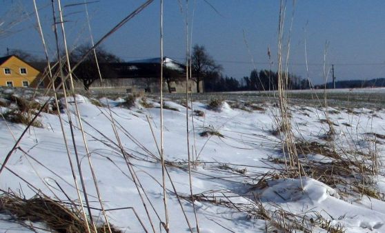 noch einmal kurz Winter.....