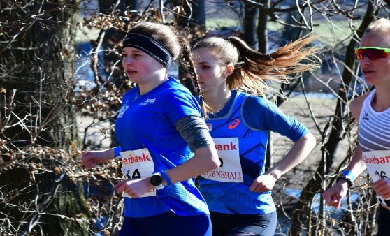 Cross Landesmeisterschaft am Spitzberg inAttnang