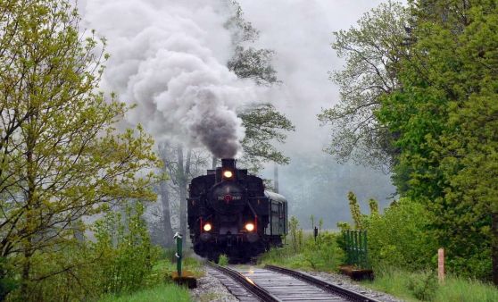 Dampftage OEGEG Ampflwang