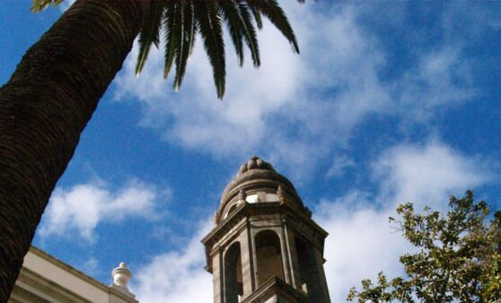 Tips-Leserreise: Tag 3 Teneriffa