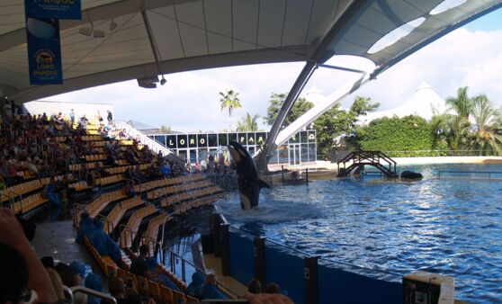 Tips-Leserreise: Tag 4 Teneriffa