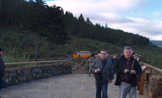 Tips-Leserreise: Tag 5 Teneriffa