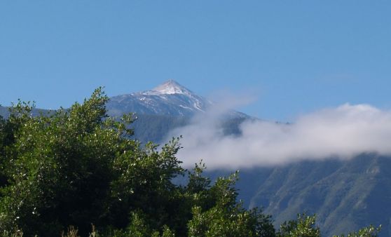 Tips-Leserreise: Tag 6 Teneriffa