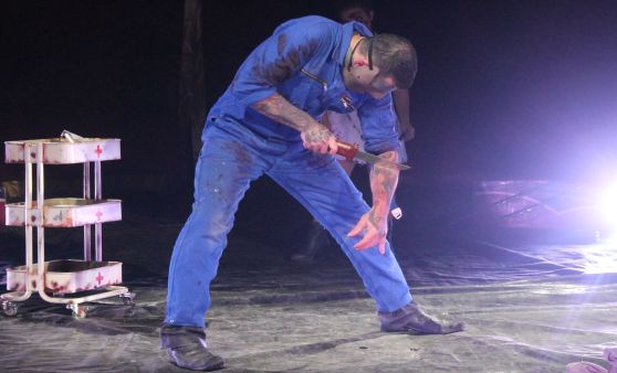 Schnappschüsse vom Zirkus des Grauens