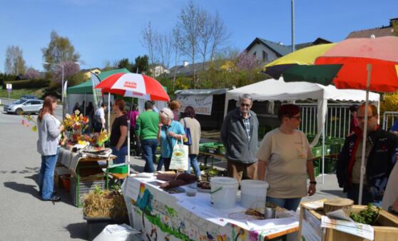 1.Pflanzentausch-Markt in Zwettl