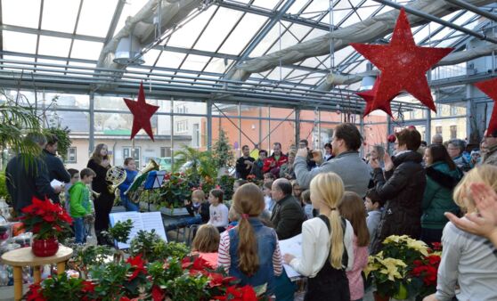 Advent wie dahoam in Groß Gerungs