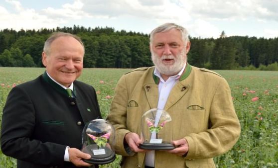 Waldland: Vielfalter Fachtagung und Sommerfest 2017