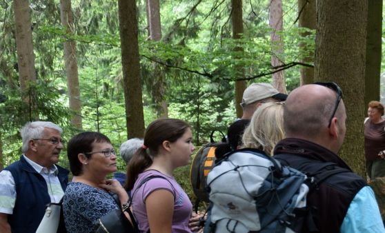 Geburtstagsfest: 20 Jahre Bärenwald Arbesbach