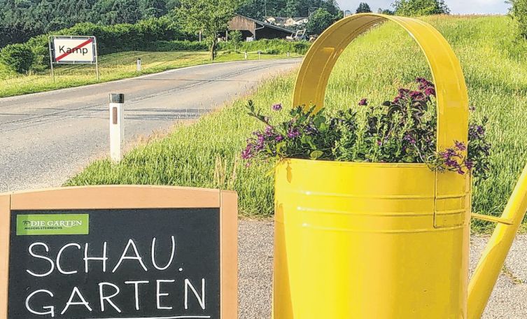 Blutenpracht In Arbesbach Ein Paradies Fur Garten Und Bienenfreunde