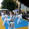 Schalchner Taekwondoka beim Obertrumer Bauernherbst