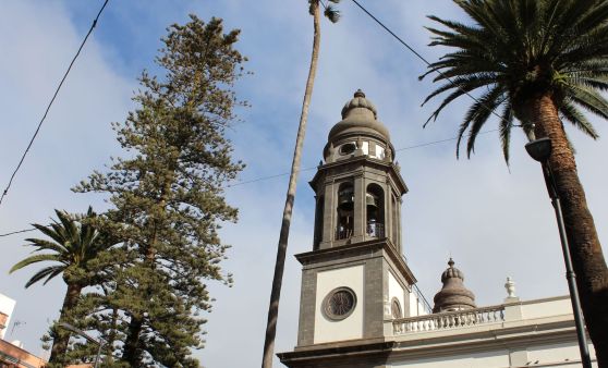 Tips Leserreise Woche 2 / Tag 3: La Laguna - Mercedeswald - Playa Teresitas - Santa Cruz