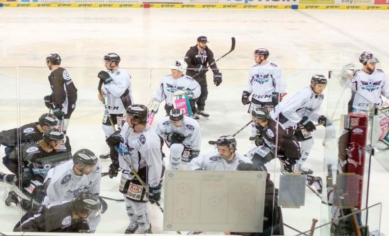 Trainingsalltag der Black Wings Linz