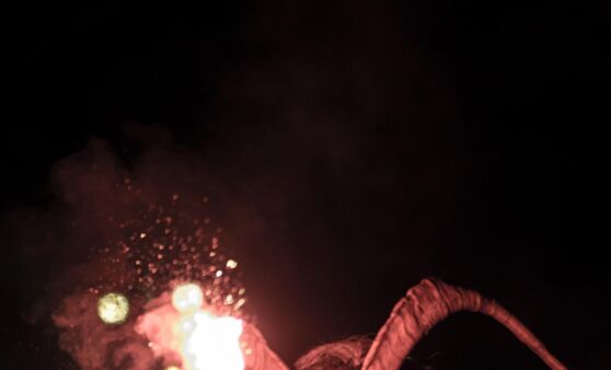 Perchtenlauf in Zwettl/Rodl