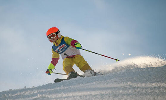 Alpine Gemeinde und Naturfreundemeisterschaften Klaus