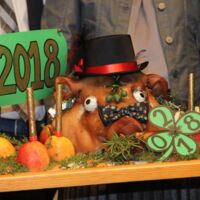 Neujahrsempfang Stadtgemeinde Freistadt