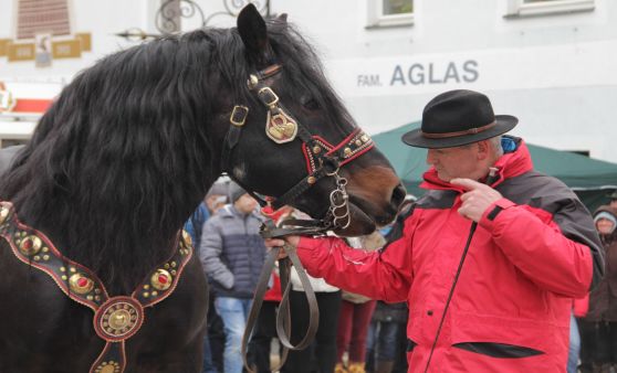 25. Josefimarkt in Königswiesen