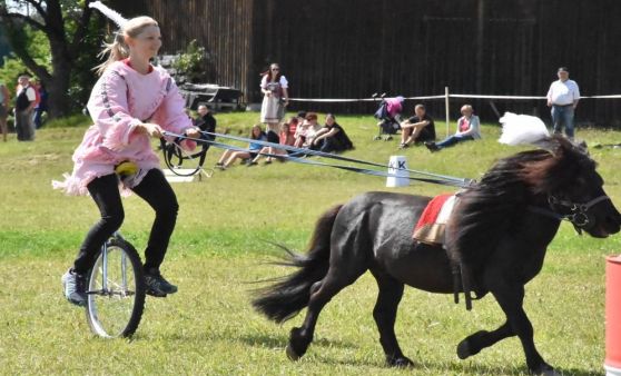Pferdereichfest auf der Mühlviertler Alm