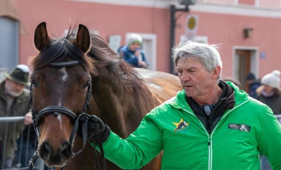 Josefimarkt 2022 in Königswiesen Teil 2 Pferdebewertung