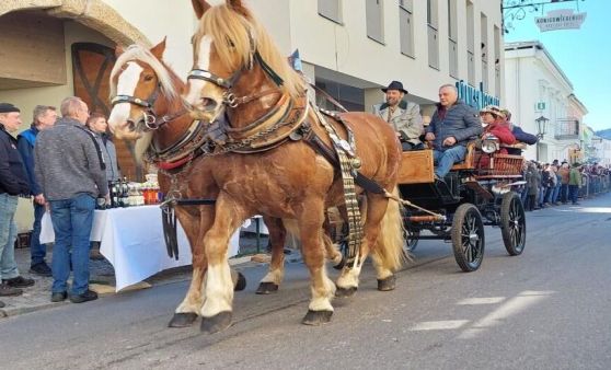 Josefimarkt 2025 in Königswiesen