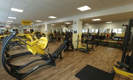 Happyfit Premium Freistadt