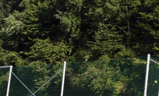 Vereinsmeisterschaft 2015