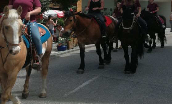 Maibaumstellen der Zeche Michlbach