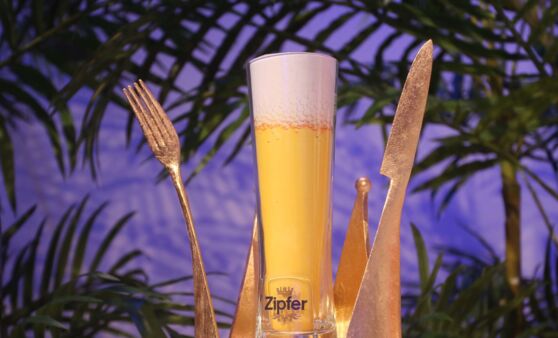 Sympathicus Landesfinale 2016