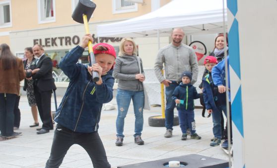 Wirtschaftsausstellung St. Oswald/Fr.