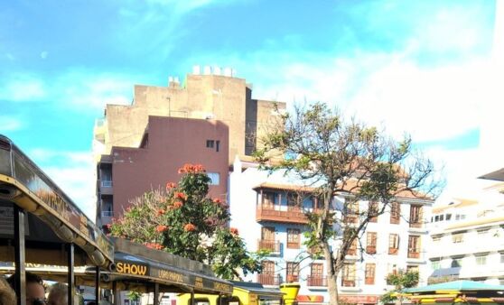 Tips-Leserreise: Tag 4 - Loro Parque