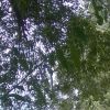 Aerial Silk Kurse in Wilhering/Linz
