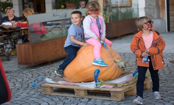 Freistädter Kürbis-Herbst-Fest