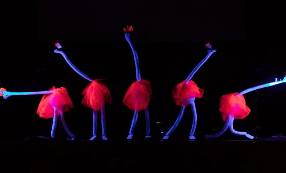 08/17 Wir tanzen aus der Reihe