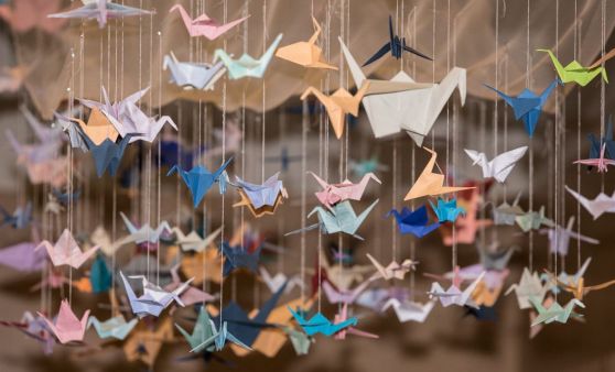 Maturaball der HBLA für künstlerischeGestaltung