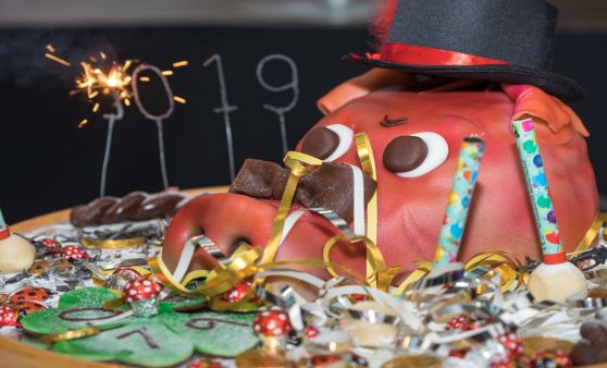 Neujahrsempfang Stadtgemeinde Freistadt mit Bürgermeisterin Paruta-Teufer