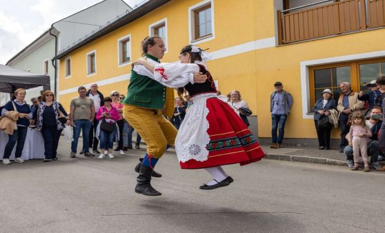 Färbermarkt in Gutau, 7.5.2023